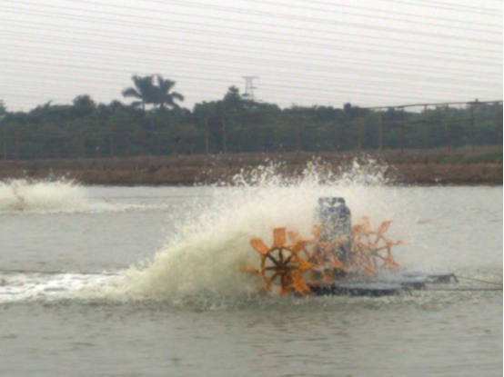 水車式增氧機(jī)